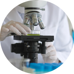 アクティブ倉敷解体の各層分析